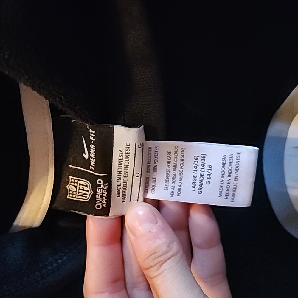 Nike steelers hoodie